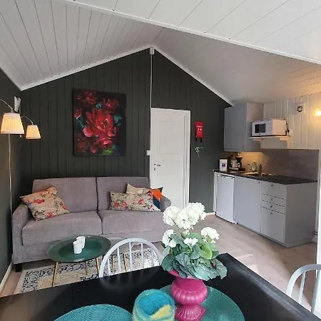 Olden Camping 4* Olden